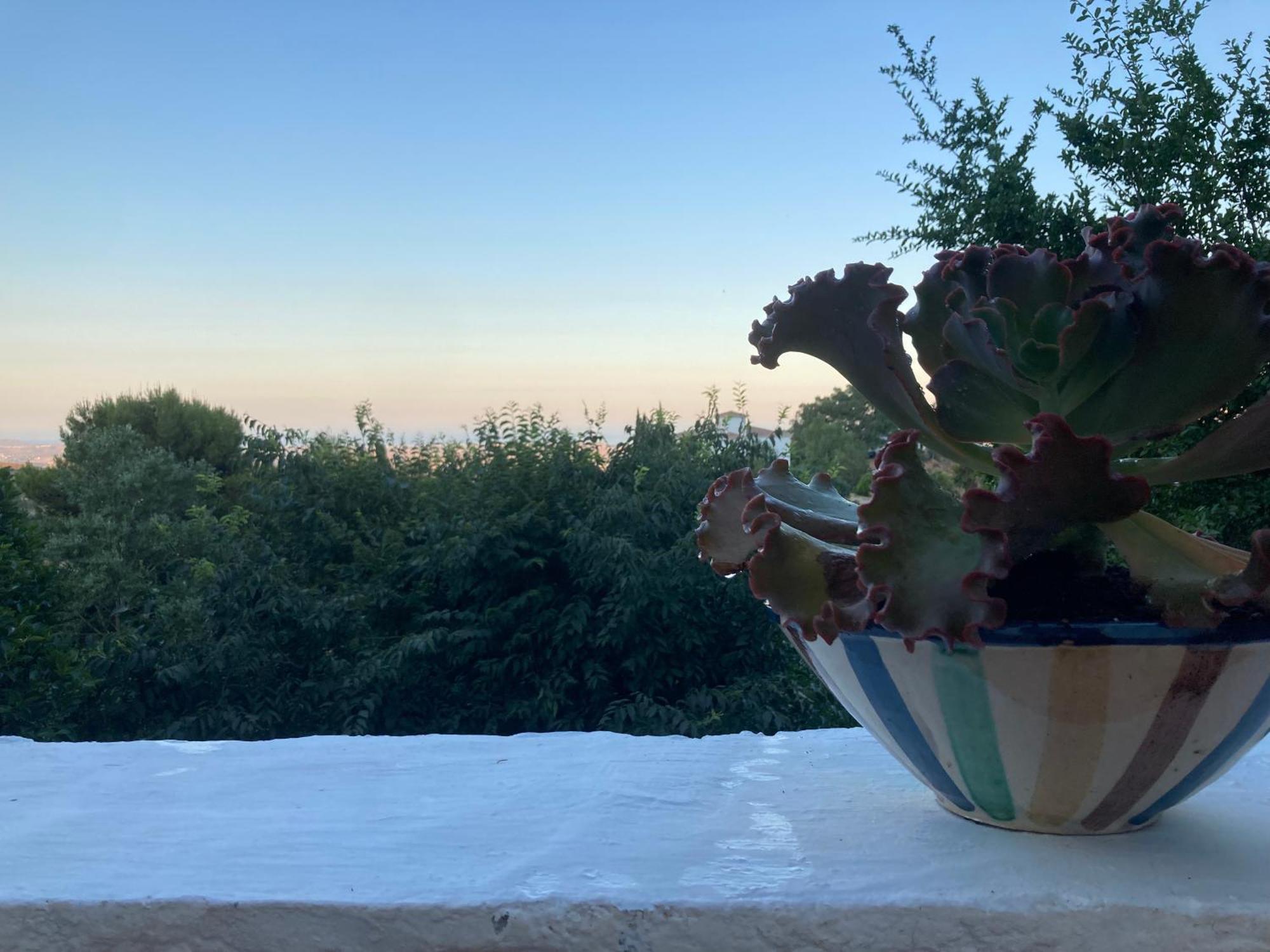 Cortijo De La Fuente Con Vistas Impresionantes Y Playas A 20 Minutos Villa Bédar Eksteriør billede