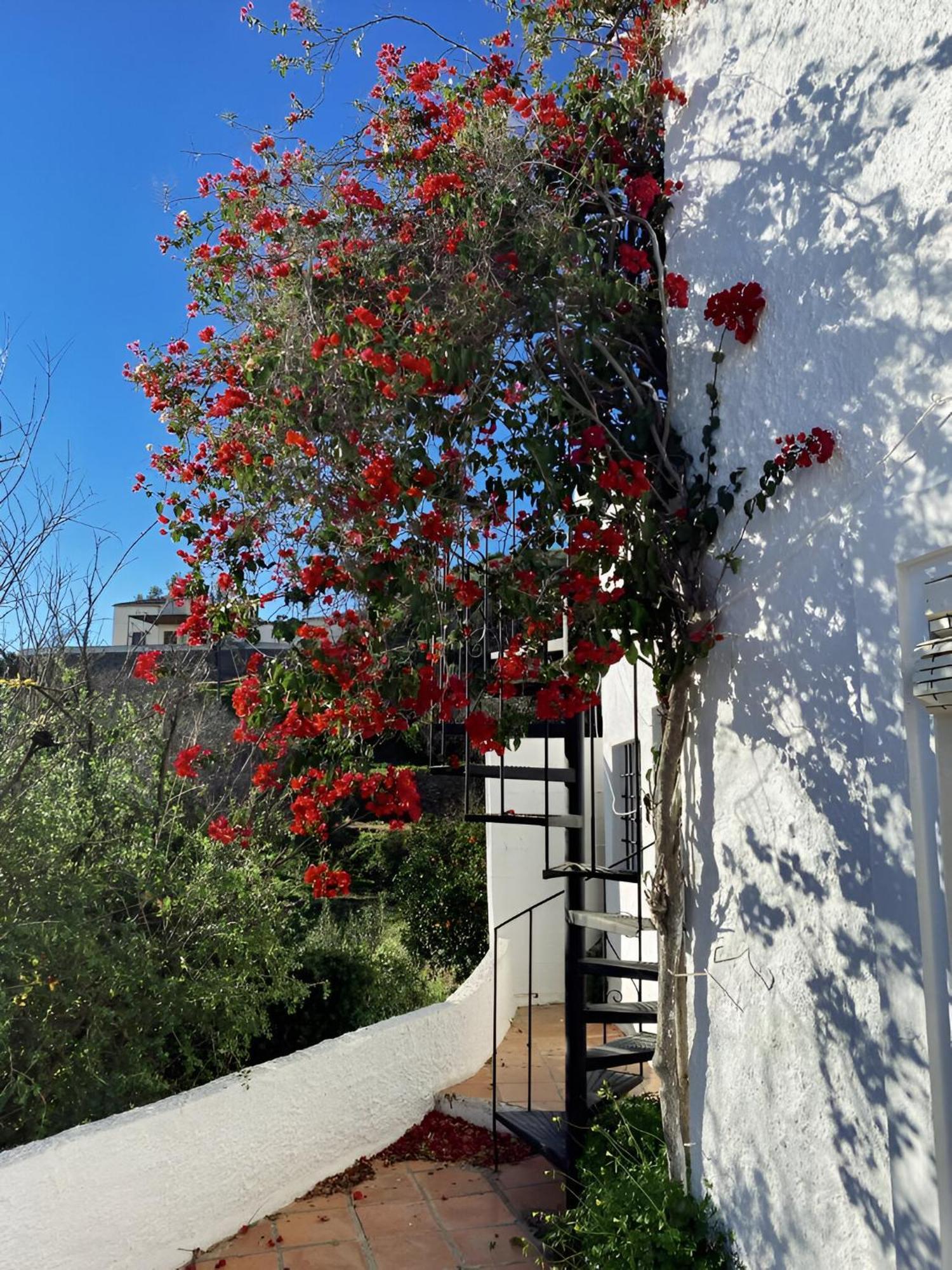 Cortijo De La Fuente Con Vistas Impresionantes Y Playas A 20 Minutos Villa Bédar Eksteriør billede
